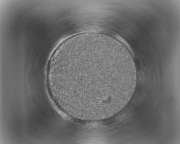 X0000063521099200602172207