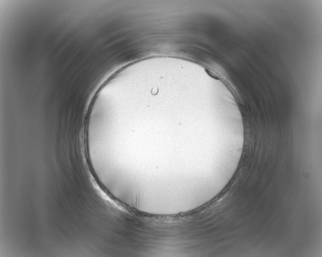 X0000063521100200602172207