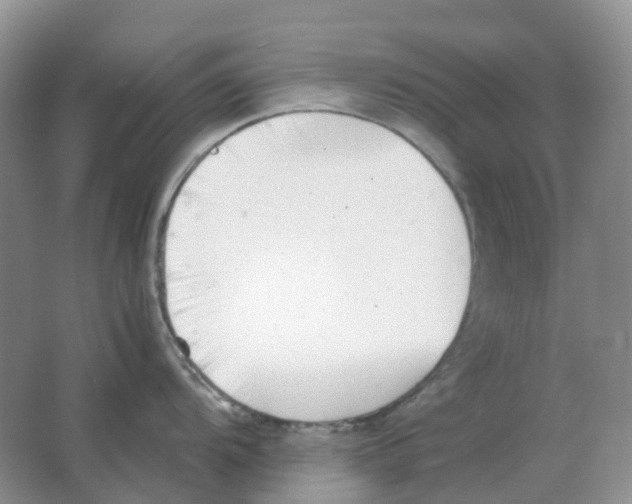 X0000063521104200602172207