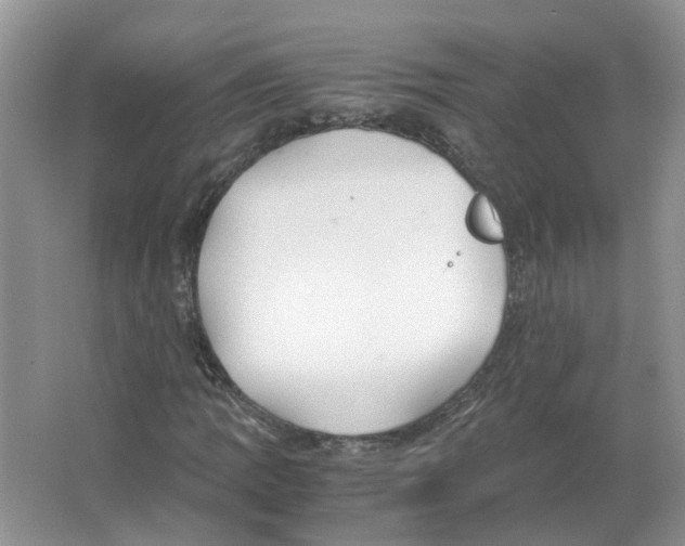 X0000063521109200602172206