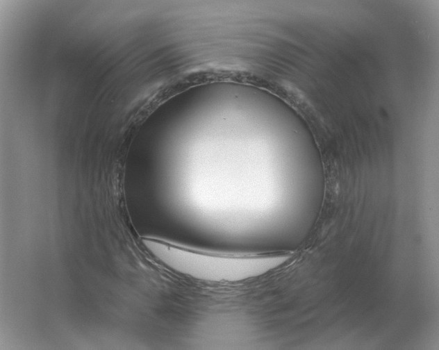 X0000063521110200602172206