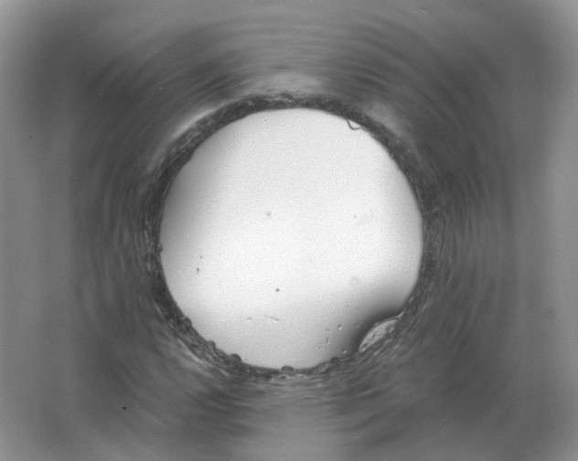 X0000063521112200602172206