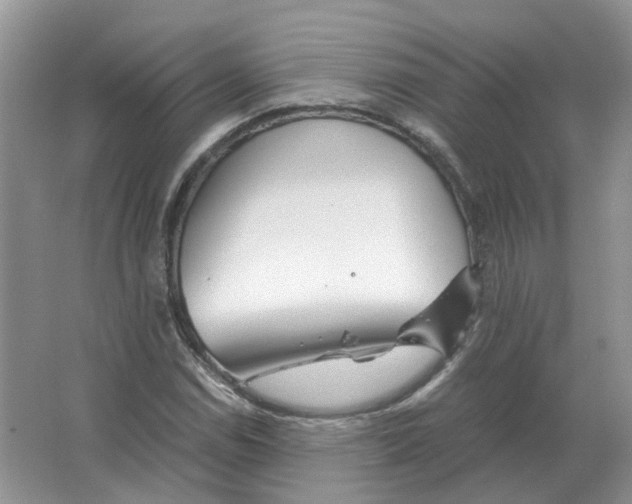 X0000063521114200602172206