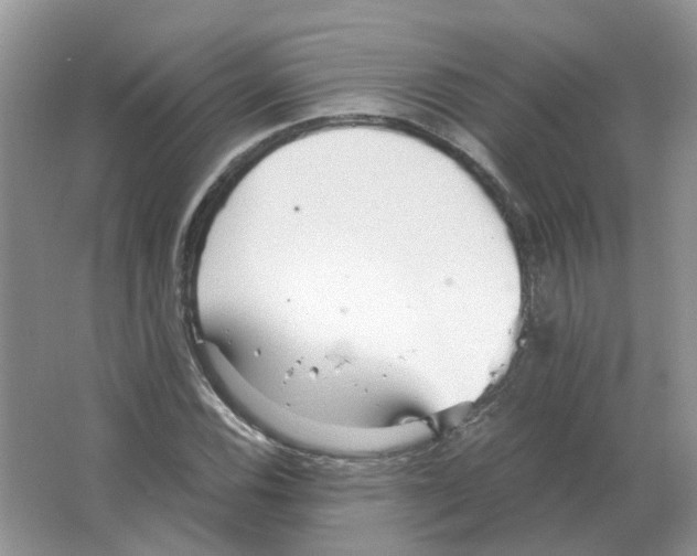 X0000063521116200602172206