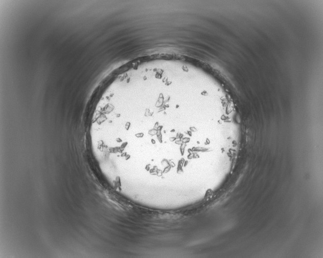 X0000063521117200602172206