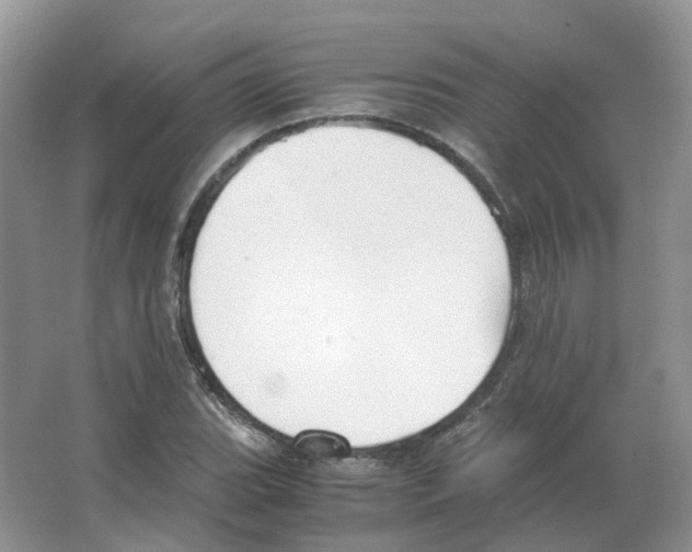 X0000063521119200602172206