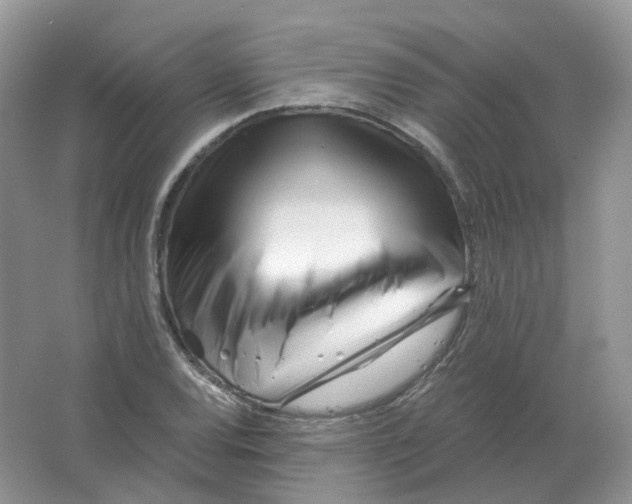 X0000063521120200602172206