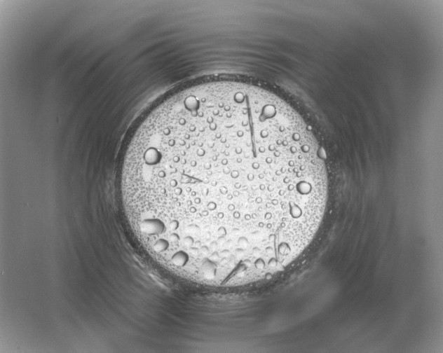 X0000063521121200602172206