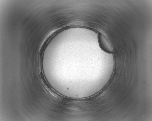 X0000063521123200602172207