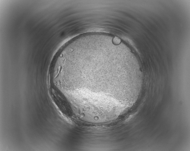 X0000063521125200602172207