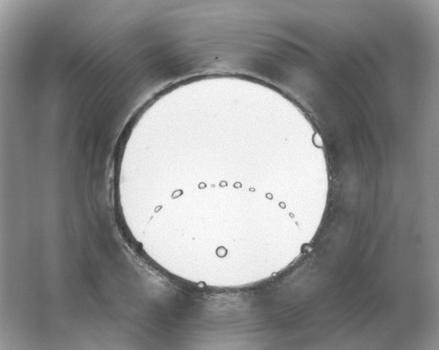 X0000063521126200602172207