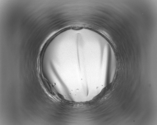 X0000063521128200602172207