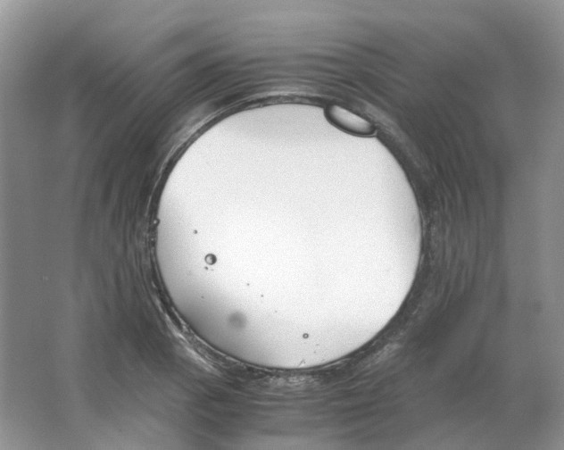 X0000063521129200602172207