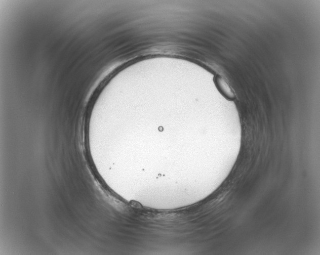 X0000063521131200602172207