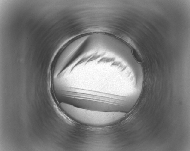 X0000063521132200602172207