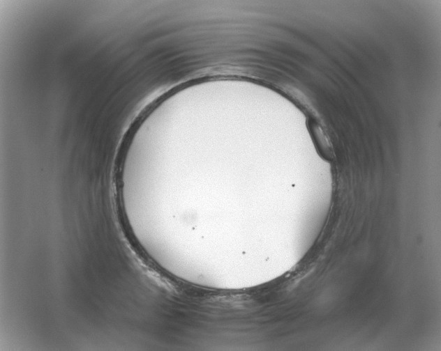 X0000063521133200602172207