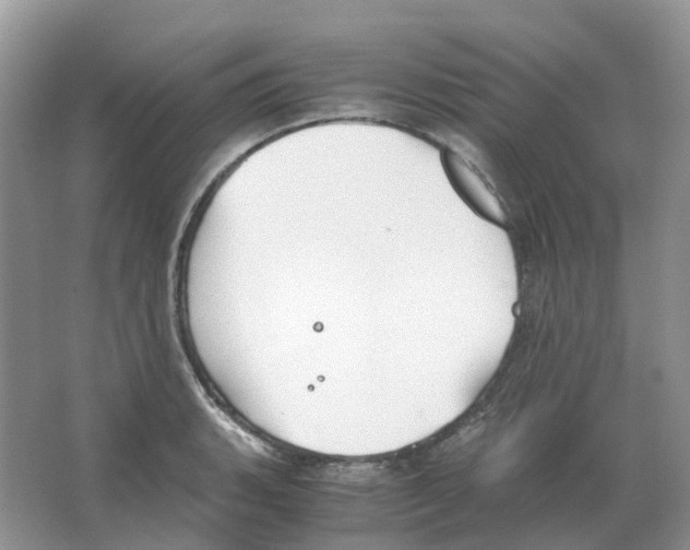 X0000063521135200602172207