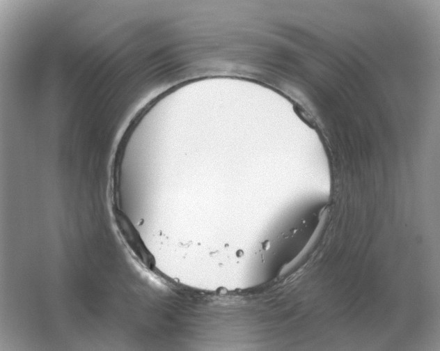 X0000063521136200602172207