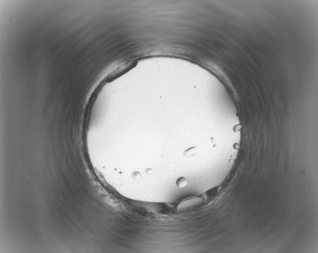 X0000063521138200602172207