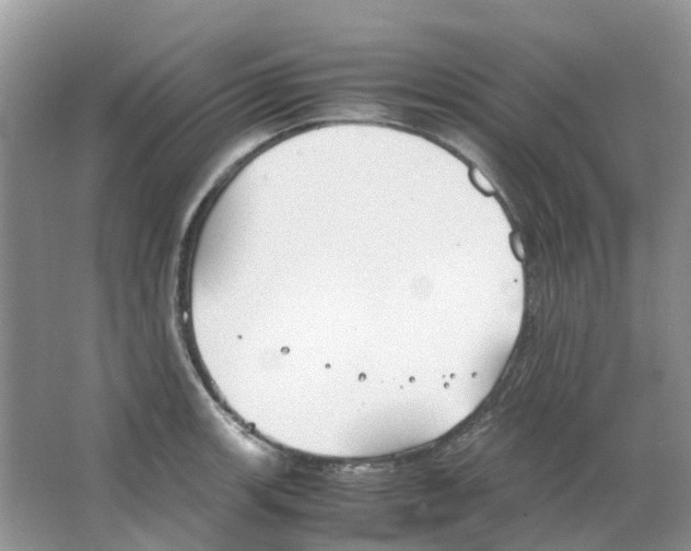 X0000063521139200602172207