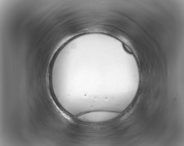 X0000063521141200602172207