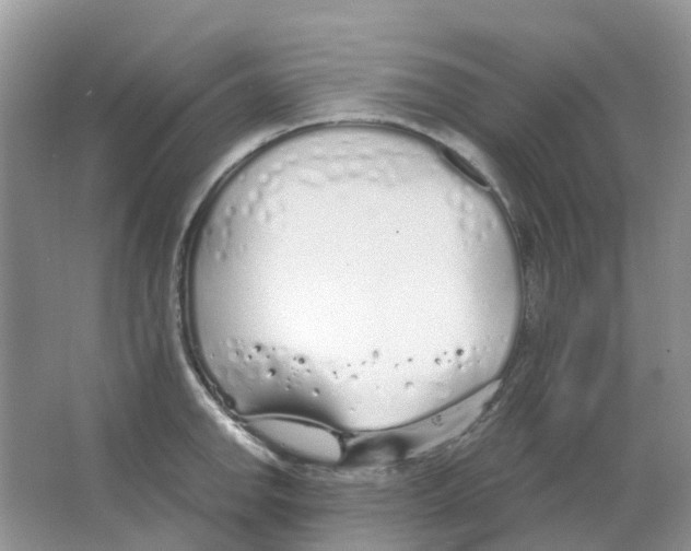 X0000063521142200602172207