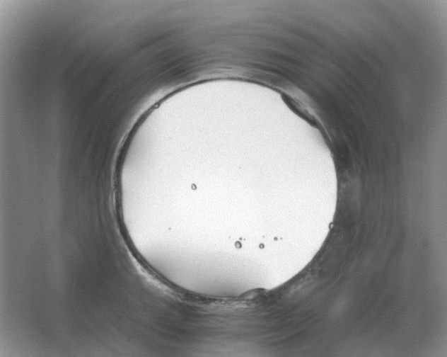 X0000063521143200602172207