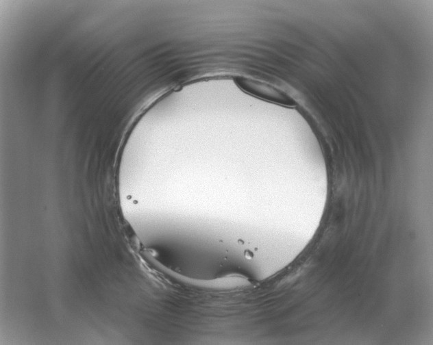 X0000063521145200602172207