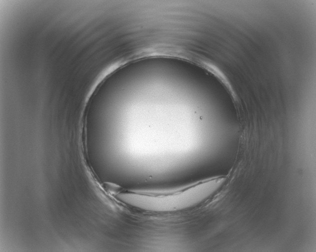 X0000063521146200602172207