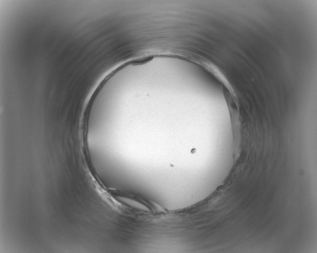 X0000063521148200602172207