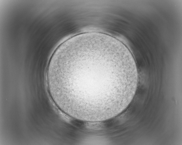 X0000063521150200602172207