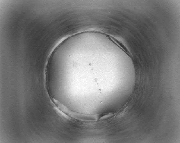 X0000063521151200602172207