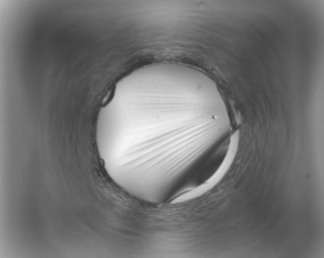 X0000063521153200602172206