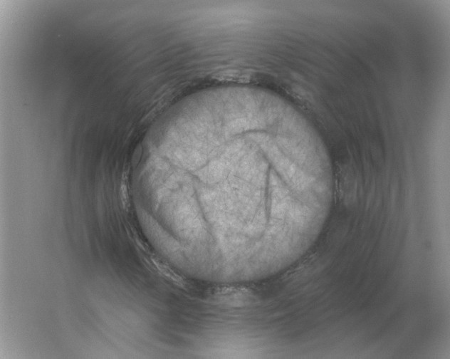 X0000063521154200602172206