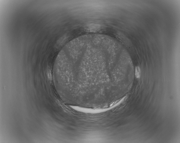 X0000063521155200602172206