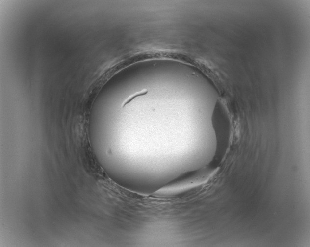 X0000063521157200602172206