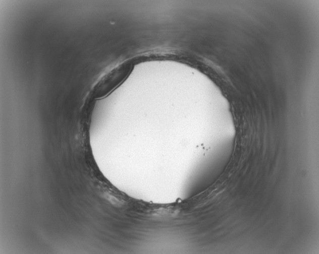 X0000063521160200602172206