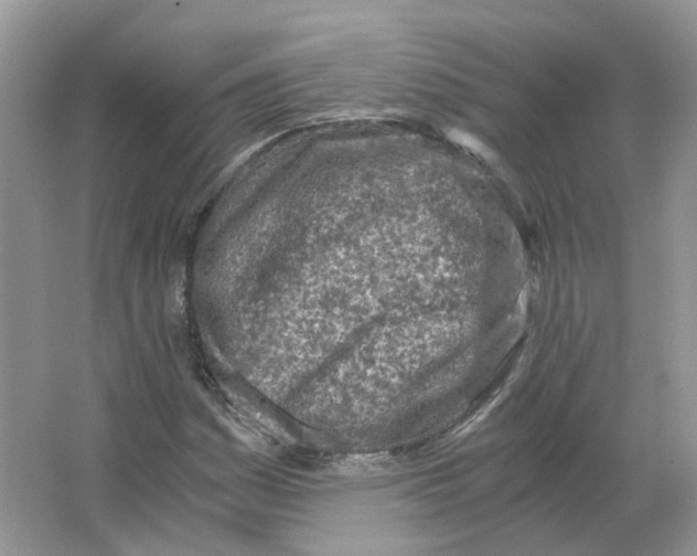 X0000063521161200602172206