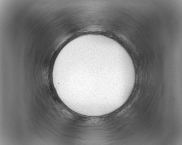 X0000063521162200602172206