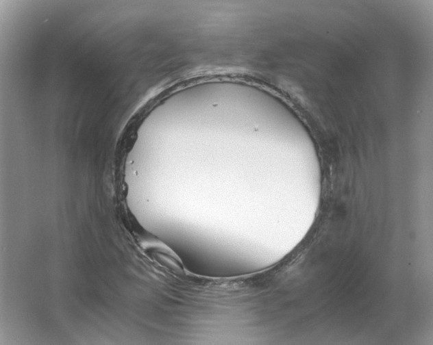 X0000063521165200602172206