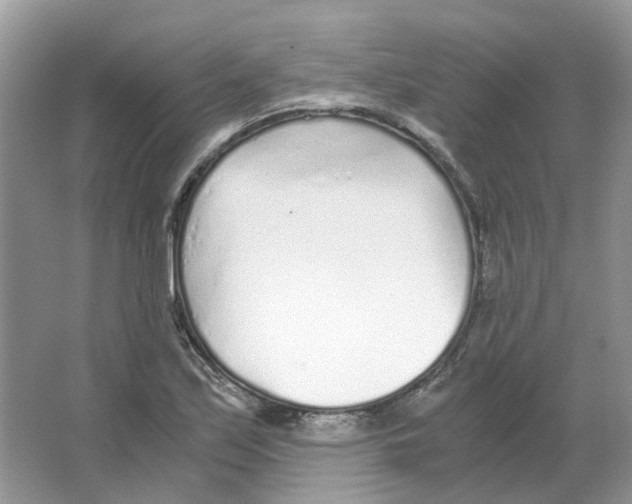 X0000063521171200602172206