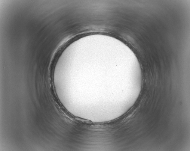 X0000063521172200602172206