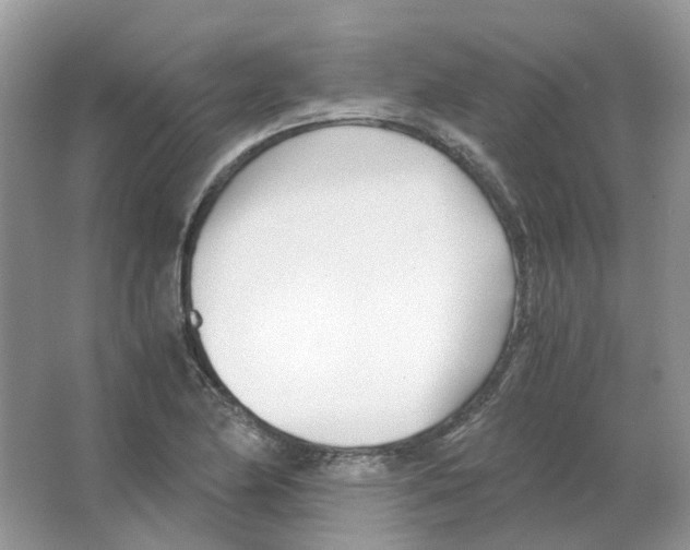 X0000063521174200602172206