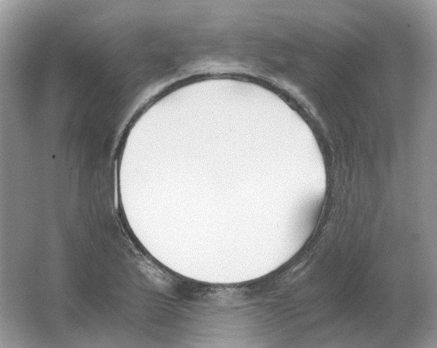 X0000063521175200602172206