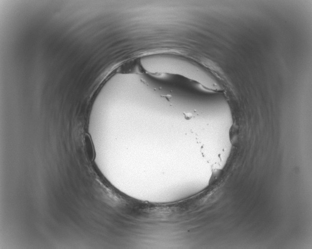 X0000063521177200602172206