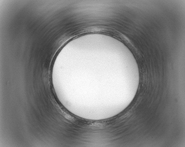 X0000063521178200602172206