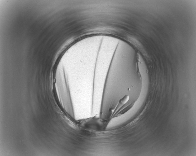 X0000063521180200602172206