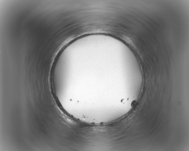 X0000063521181200602172206