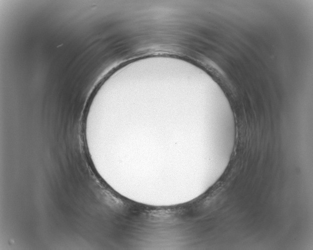 X0000063521182200602172206