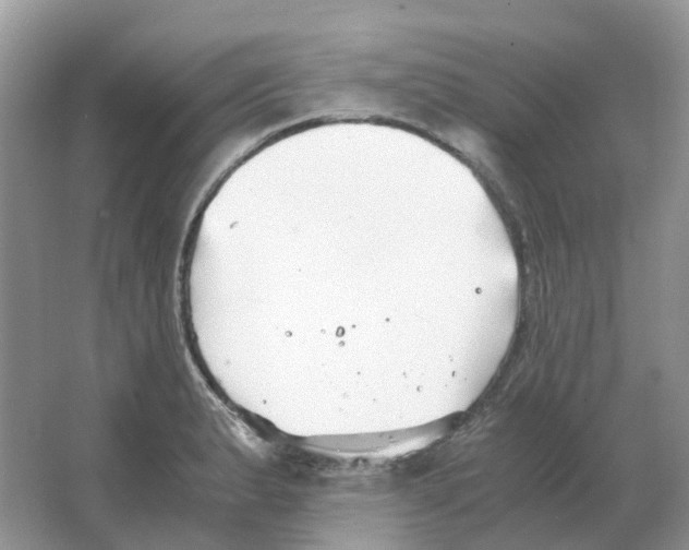 X0000063521183200602172206